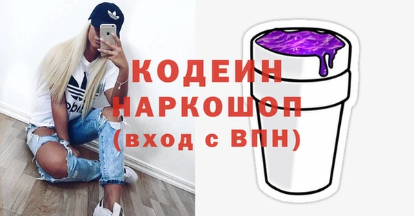соль ск Бородино