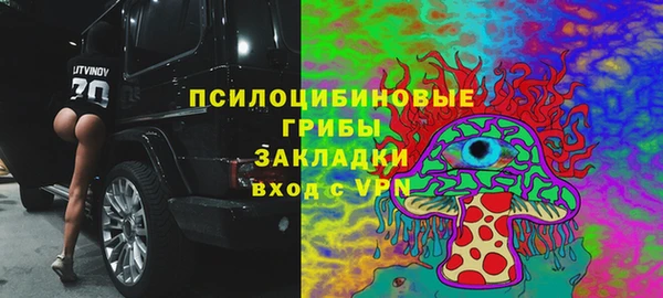 соль ск Бородино