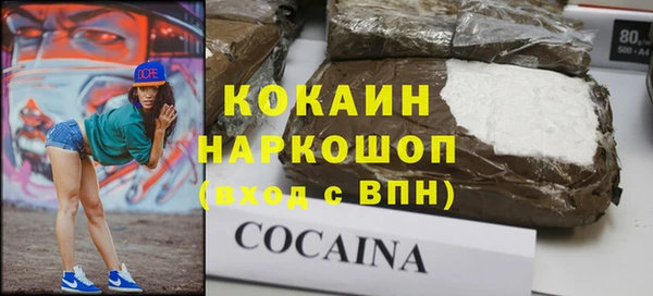 соль ск Бородино